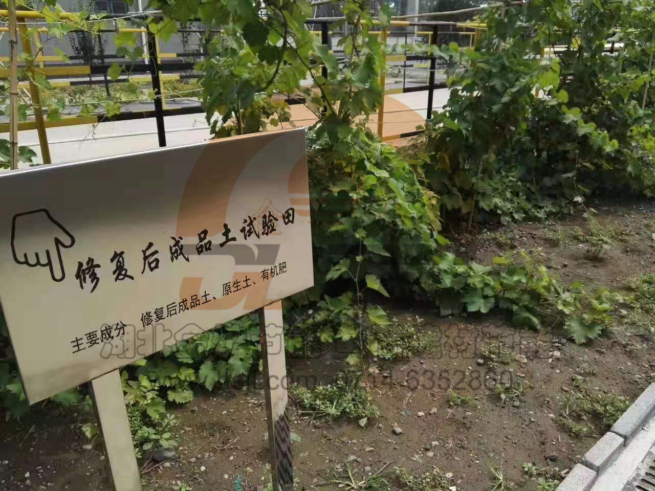 澳门天天免费精准大全
