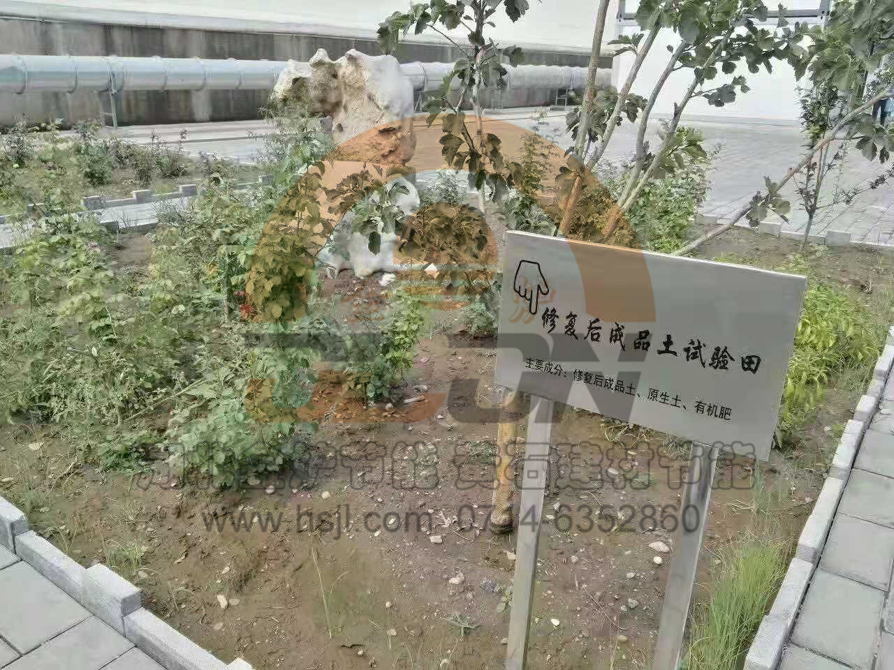 澳门天天免费精准大全